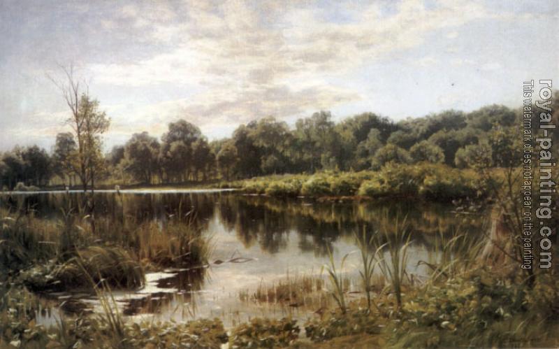 Peder Mork Monsted : Bollemosen Peder Mork Monsted : Bollemosen